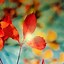 Image result for Kindle Fire Fall Background