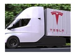 Image result for Tesla man charged