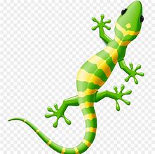 Image result for Cartoon Gecko