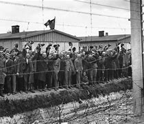Image result for Dachau Concentration Camp Liberation