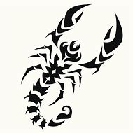 Image result for Tribal Scorpion Graphics