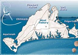 Image result for Martha's Vineyard Today