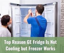 Image result for Freezer Is Cold but Not Fridge