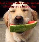 Image result for Brighten Someone's Day Funny Quote