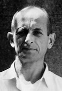 Image result for Adolf Eichmann SD