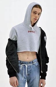 Image result for Men's Crop Top Sweatshirt