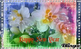 Image result for Chinese New Year Oranges and Tangerines
