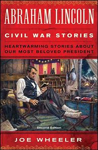 Image result for Time Travel to Civil War Books