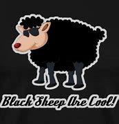 Image result for Cool Black Sheep