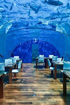 Maldives Island With Underwater Restaurant - maldive islands resort