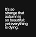 Image result for Quotes for Fun