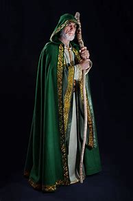 Image result for Male Wizard Robes