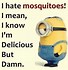 Image result for Girlfriend Funny Minion Quotes