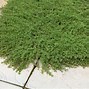 Image result for Landscaping Lawn Mower