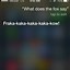 Image result for Siri Funny Questions From