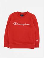 Image result for Champion Dog Sweater