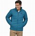 Image result for Patagonia Down Sweater 3T