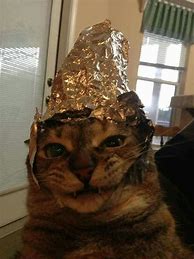 Image result for Cat with Tin Foil Hat