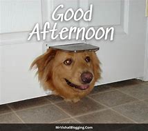 Image result for Afternoon Funny