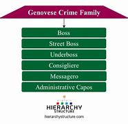 Image result for Genovese Crime Family Chart