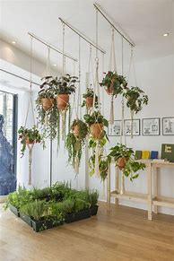Image result for Decorative Indoor Hanging Planters