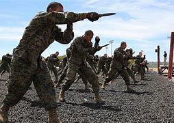 Image result for free images of military training with knife