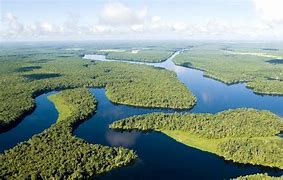 Image result for Amazon River