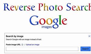 Image result for Search Foto User