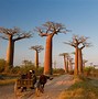 Image result for Madagascar Landscape