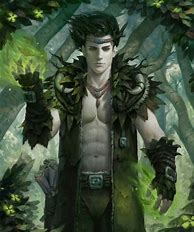 Image result for Dnd Wood Elf Druid Male