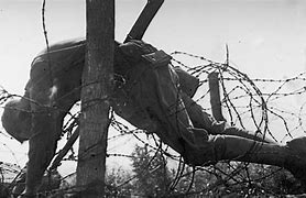 Image result for Soldiers Killed in WW2 Photos