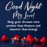 Image result for Good Night My Love Pics