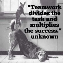 Image result for Funny Teamwork Quotes