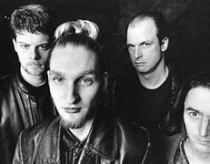 Image result for Mad Season Cover Art