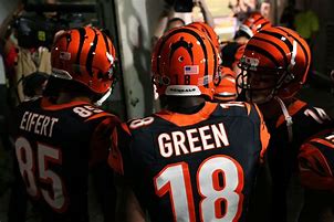Image result for Bengals