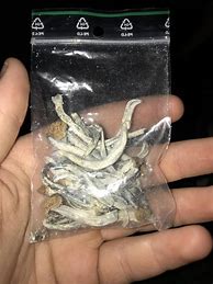 Image result for 5 Grams of Shrooms