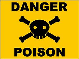 Image result for Wednesday Drinking Poison