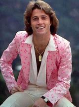 Image result for Andy Gibb Pics