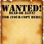 Image result for Old West Wanted Poster Art