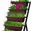 Image result for What Do Plant in Vertical Planters