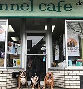Image result for Dogs for Sale at Pet Shops Near Me