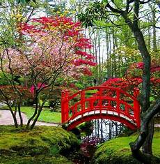 Pin by Classically Fashioned on Flowers Japanese garden Japanese