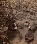 Image result for Johnstown Flood 1889 Victims
