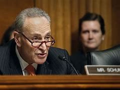 Image result for Charles Schumer Doesn't Know Mask