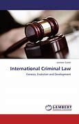 Image result for International Criminal Law Jobs