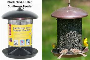 Image result for Black Oil Sunflower Seed Bird Feeders