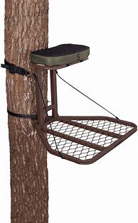 Image result for How to Hang a Tree Stand