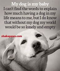 Image result for Puppy Love Quotes