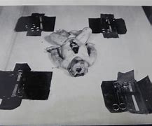 Image result for Josef Mengele Experiments On Twins