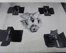 Image result for Dr. Josef Mengele Medical Experiments